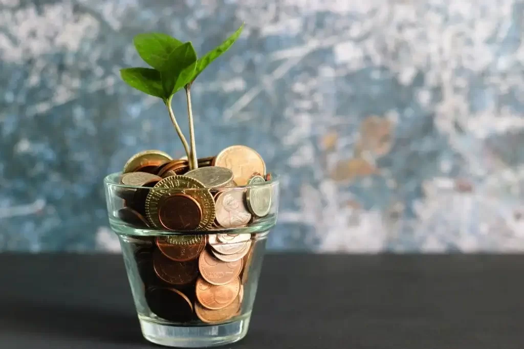 micheile-dot-com-ZVprbBmT8QA-unsplash-1024×683-min How much does an EOR cost