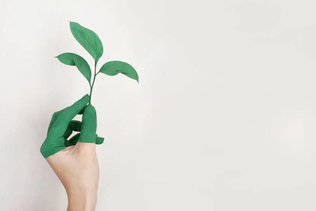 pexels-alena-koval-233944-886521-min Future of work: Embracing a global workforce